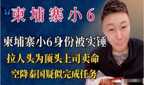 柬埔寨小六最新爆料消息,揭秘神秘事件背后的惊人真相