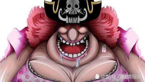 大妈海贼王爆料视频,揭秘神秘力量与未来剧情走向