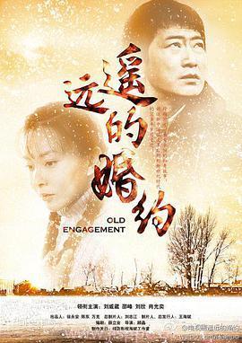 遥远的婚约全集在线观看,穿越时空的浪漫邂逅