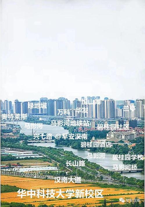 武汉汉南区最新爆料,揭秘区域发展新动态与民生焦点