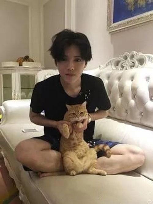 网友爆料云鹿是真的吗视频,云鹿视频真实性揭秘