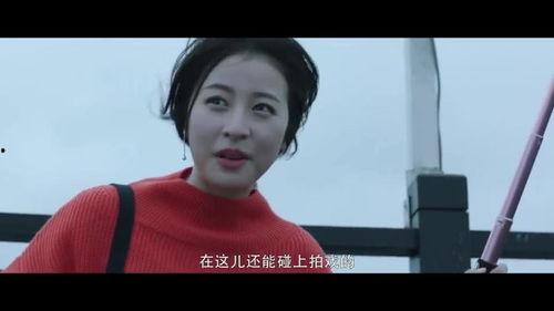 直播导演直播爆料娱乐圈,娱乐圈幕后故事大曝光