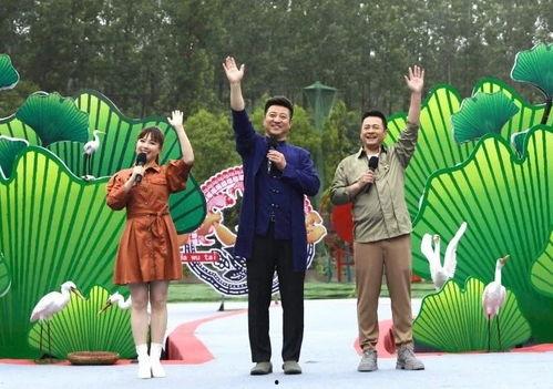 东莞都市爆料事件视频最新,最新视频揭露惊人真相，事件背后有何隐情？