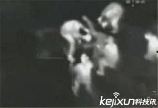 俄国最新爆料事件视频,揭秘事件背后惊人真相