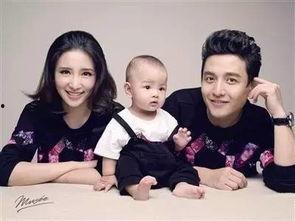 新疆百克力爆料新闻,揭秘新闻背后的真相与内幕