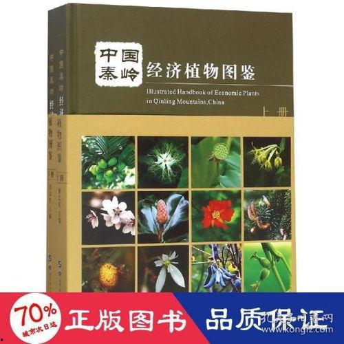 植物图鉴在线观看免费,探索自然界的绿色宝藏