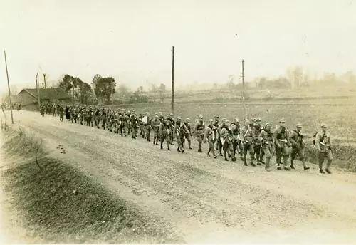 网红吃瓜长征路,揭秘娱乐圈幕后真相