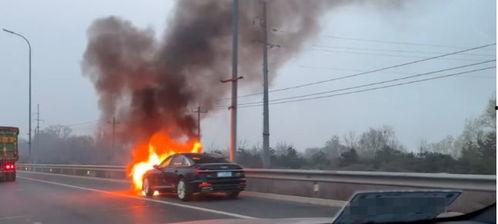 机场高速爆料视频最新,揭秘高速路建设进展与亮点
