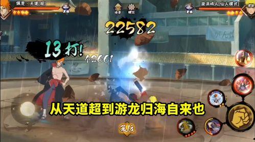 游龙归海爆料视频大全最新,揭秘视频大全背后的精彩故事