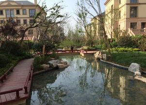 邹城鲁香山最新爆料,揭秘鲁香山神秘面纱背后的故事