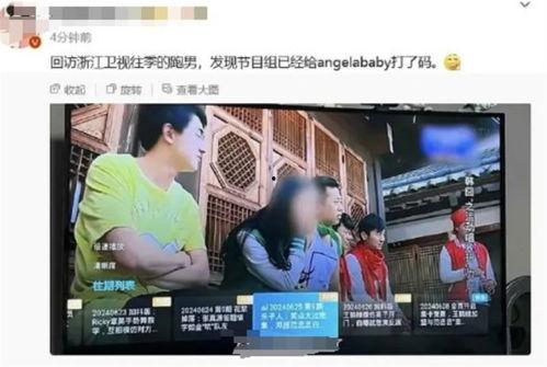 爆料杨颖跑男视频,真实一面引热议