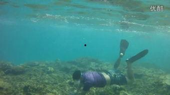 莫西沙爆料视频