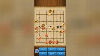 象棋黄丹青爆料视频大全,揭秘棋坛风云与高手对决