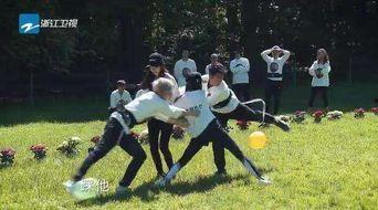 跑男古堡爆料视频大全,独家爆料视频大全精彩回顾