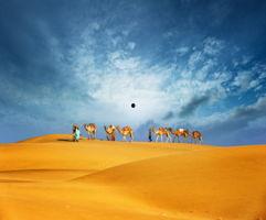 最新沙漠爆料新闻视频大全,最新爆料视频带你领略壮美沙漠风光