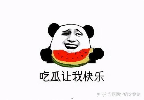 吃瓜群众的瓜是什么,网络舆论场中的围观与传播